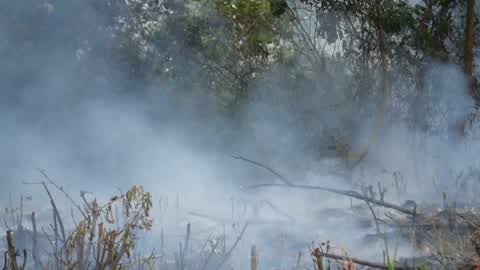 Forest Fire Emergency In Riau