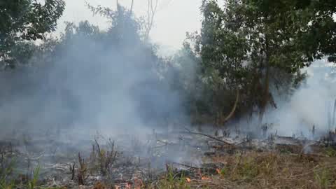 Forest Fire Emergency In Riau