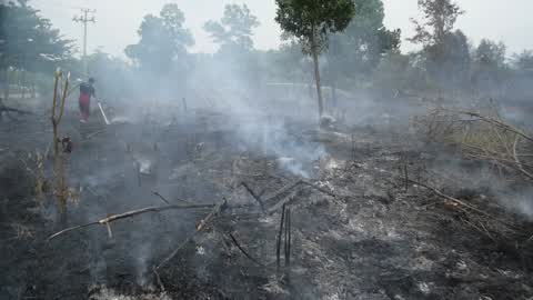 Forest Fire Emergency In Riau
