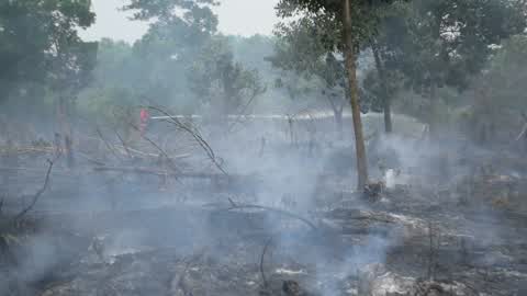 Forest Fire Emergency In Riau
