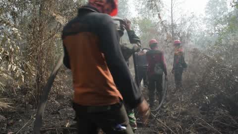Forest Fire Emergency In Riau