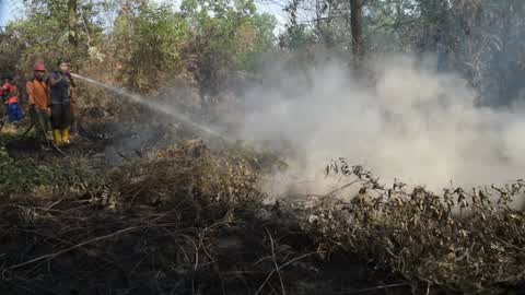 Forest Fire Emergency In Riau