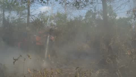 Forest Fire Emergency In Riau