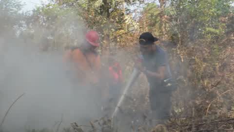 Forest Fire Emergency In Riau