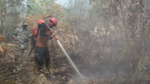 Forest Fire Emergency In Riau
