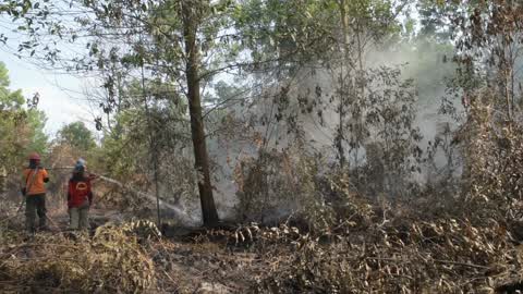 Forest Fire Emergency In Riau