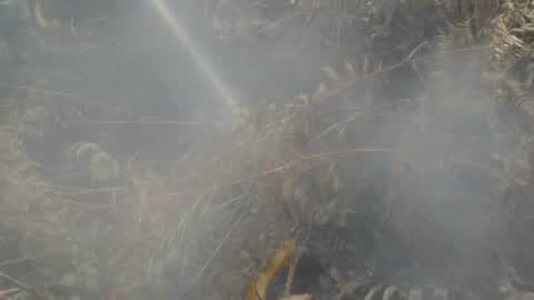 Forest Fire Emergency In Riau