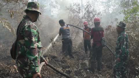 Forest Fire Emergency In Riau