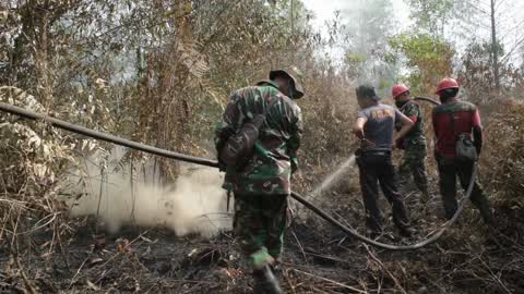 Forest Fire Emergency In Riau