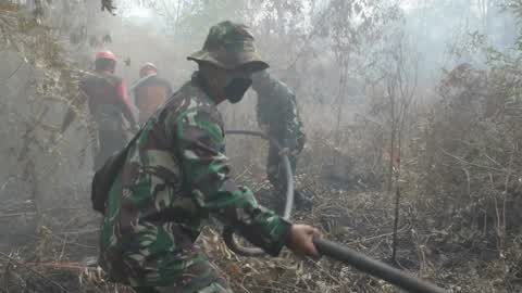 Forest Fire Emergency In Riau