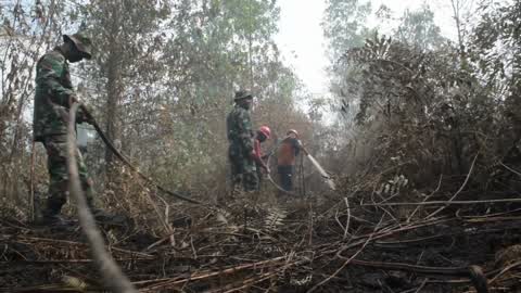 Forest Fire Emergency In Riau