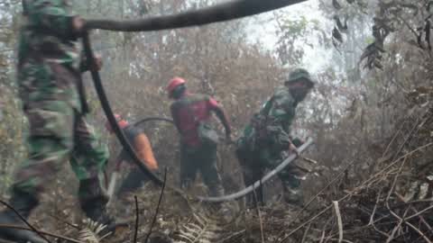 Forest Fire Emergency In Riau