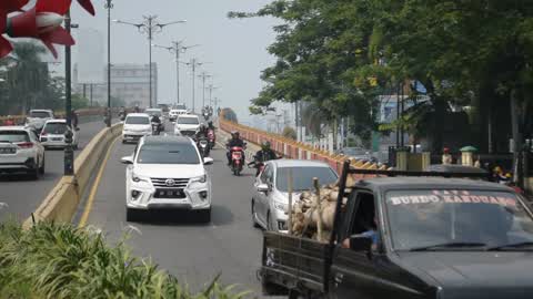 Forest Fire Emergency In Riau
