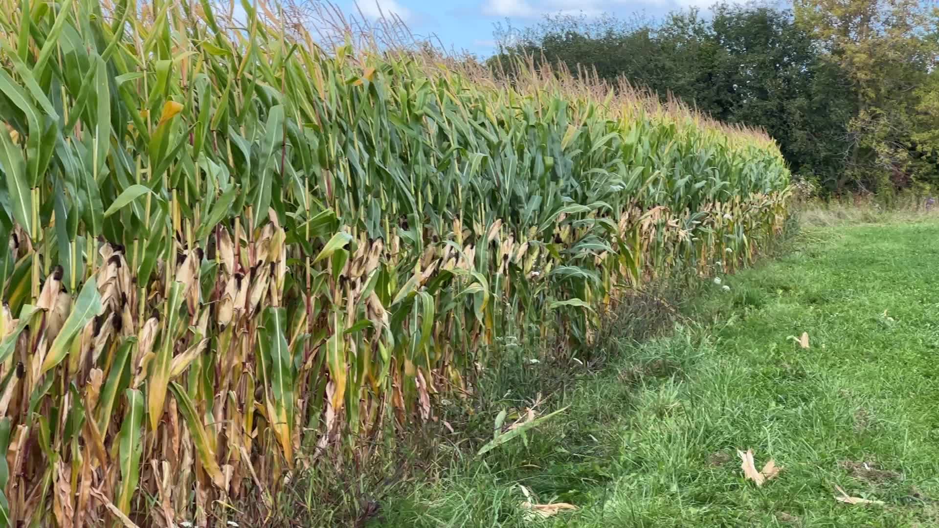 Agriculture in Canada