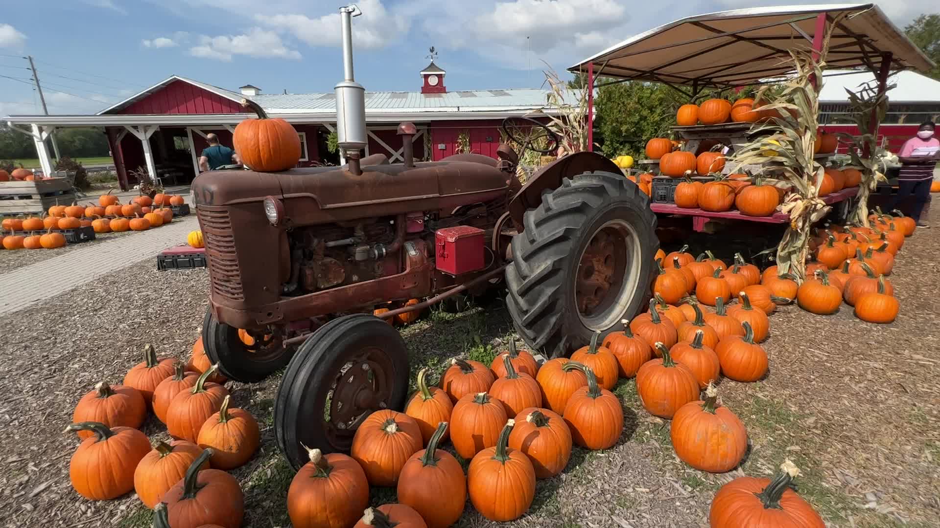 Autumn season in Markham