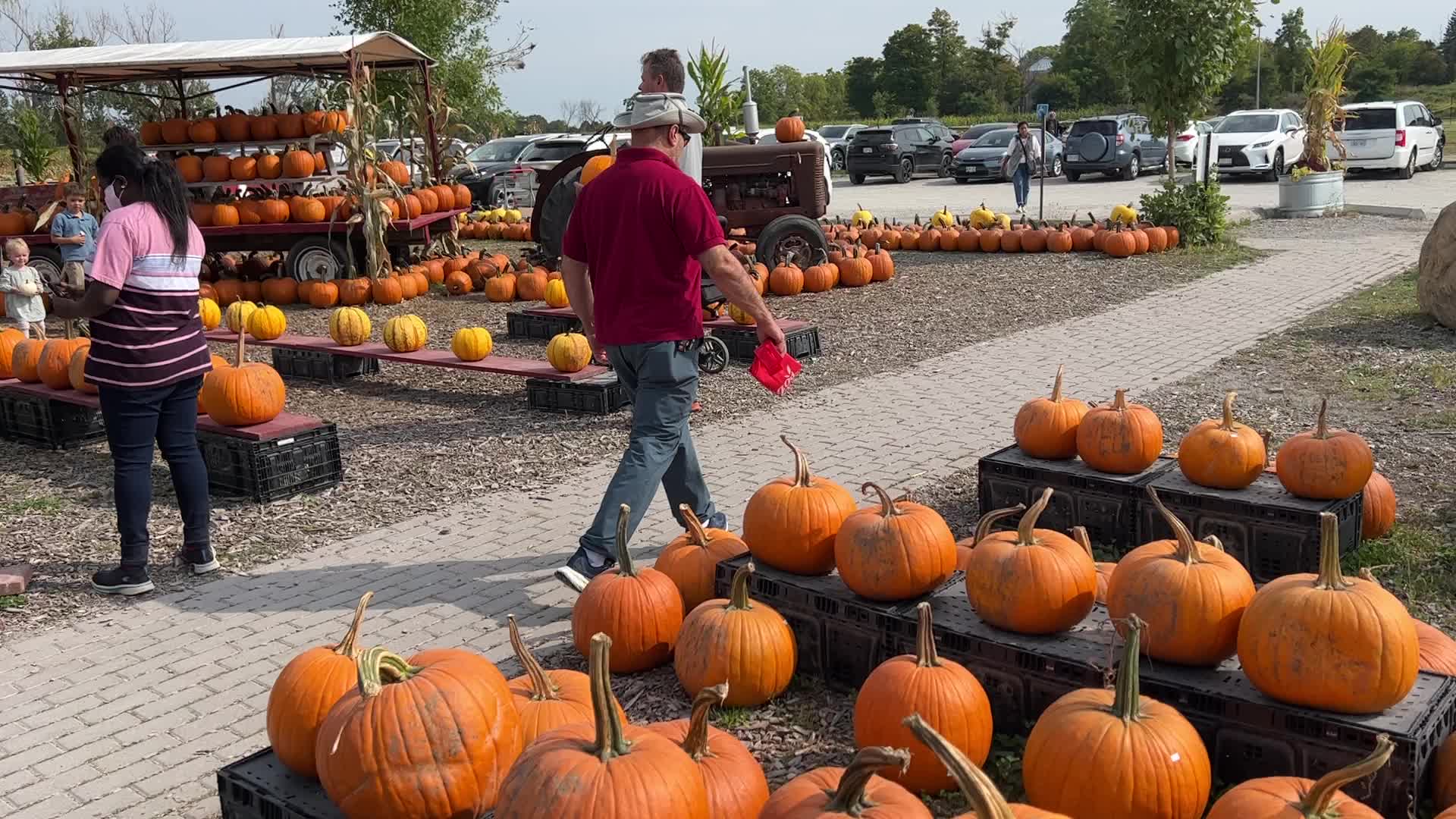 Autumn season in Markham
