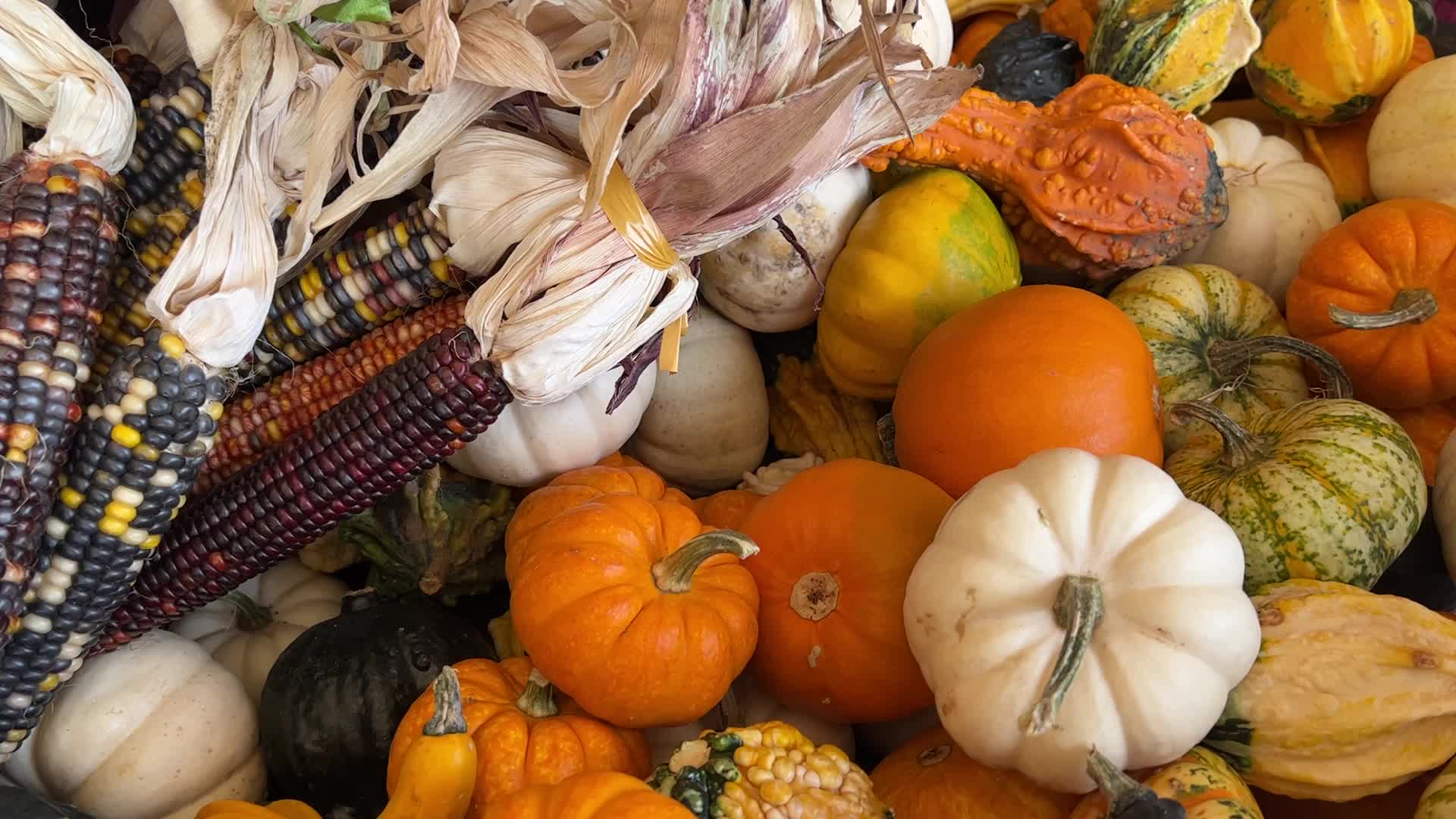 Autumn season in Markham