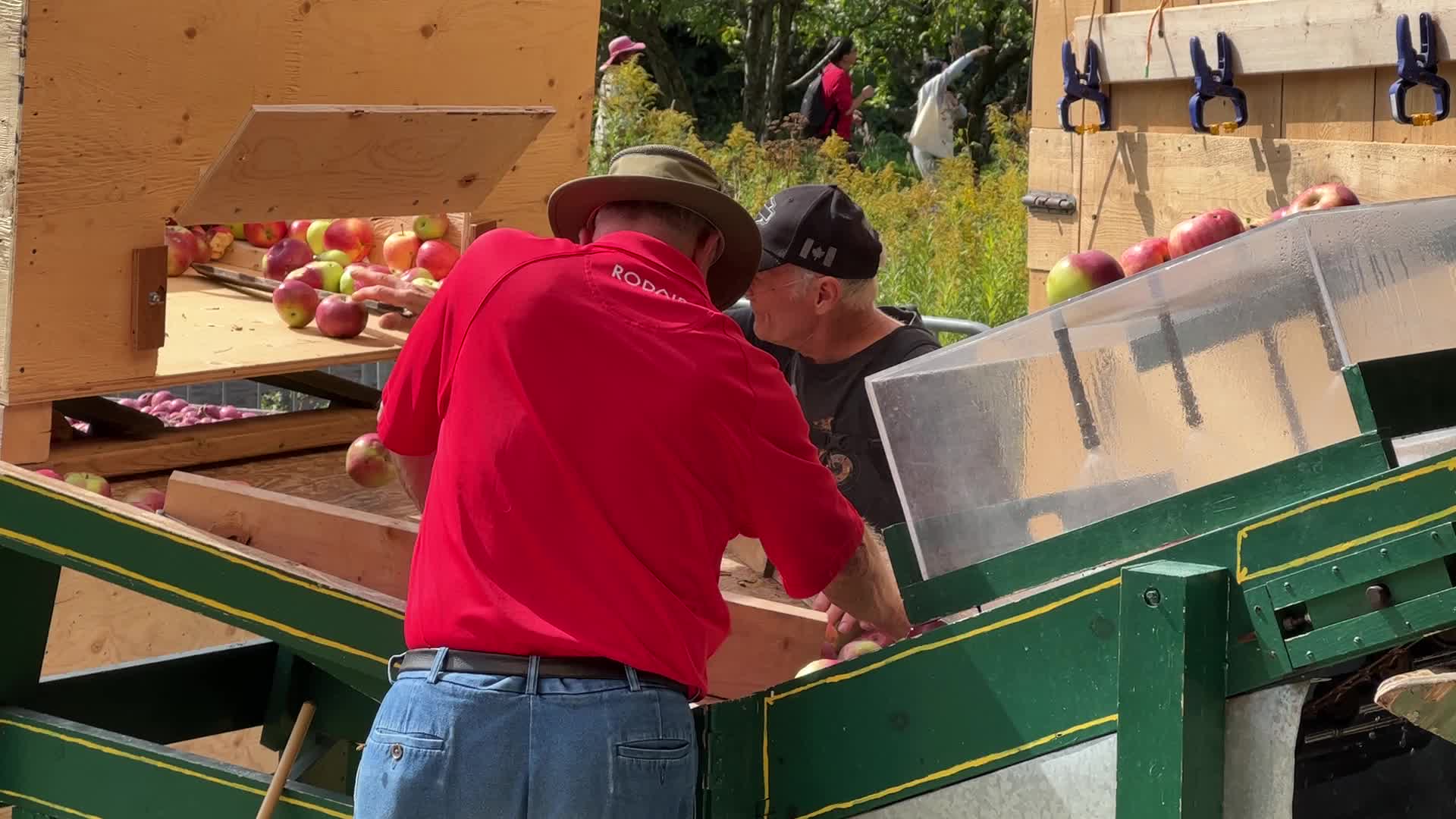 Apple cider production in Canada