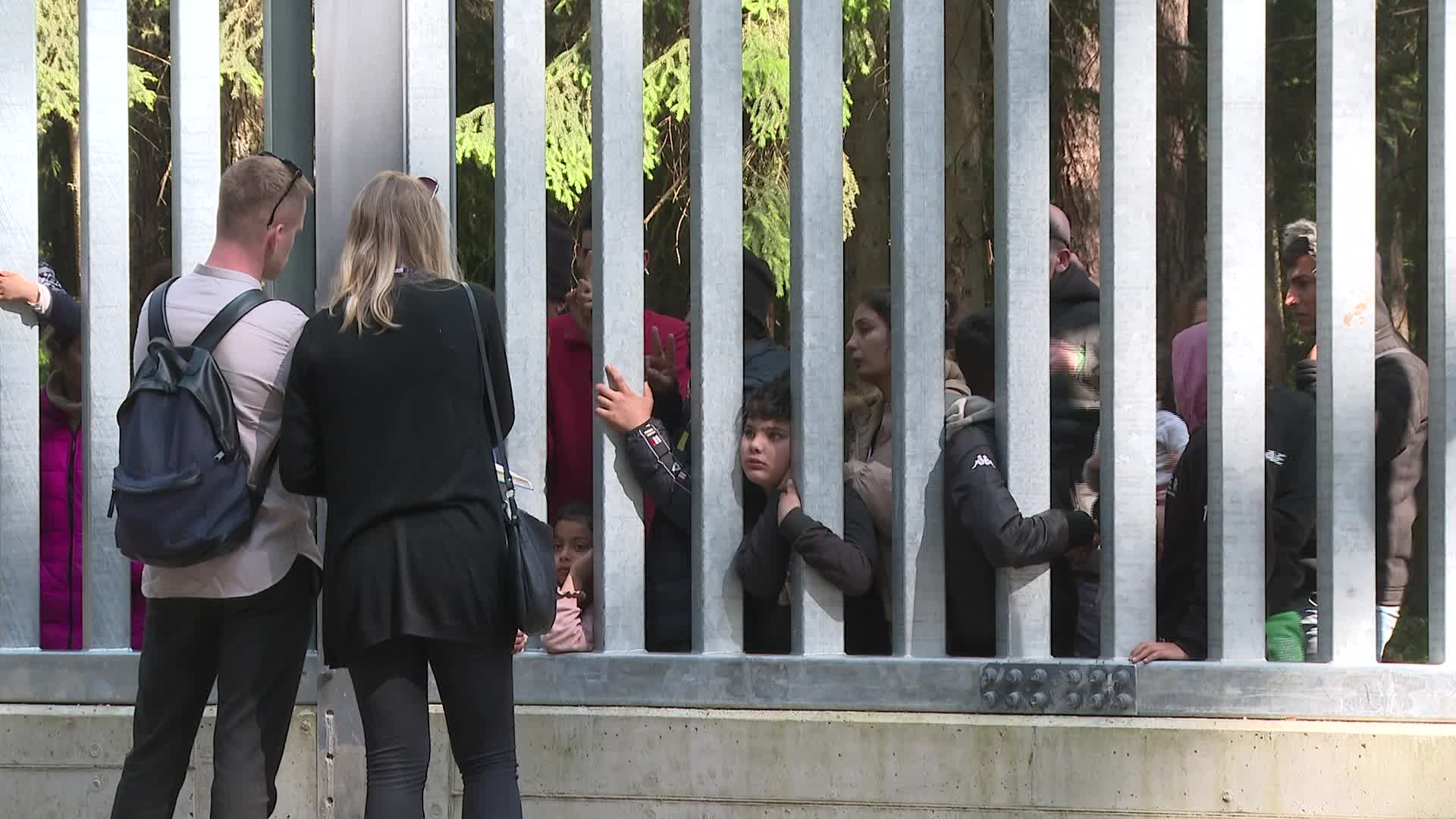 Migrants stuck at Poland's border wall with Belarus