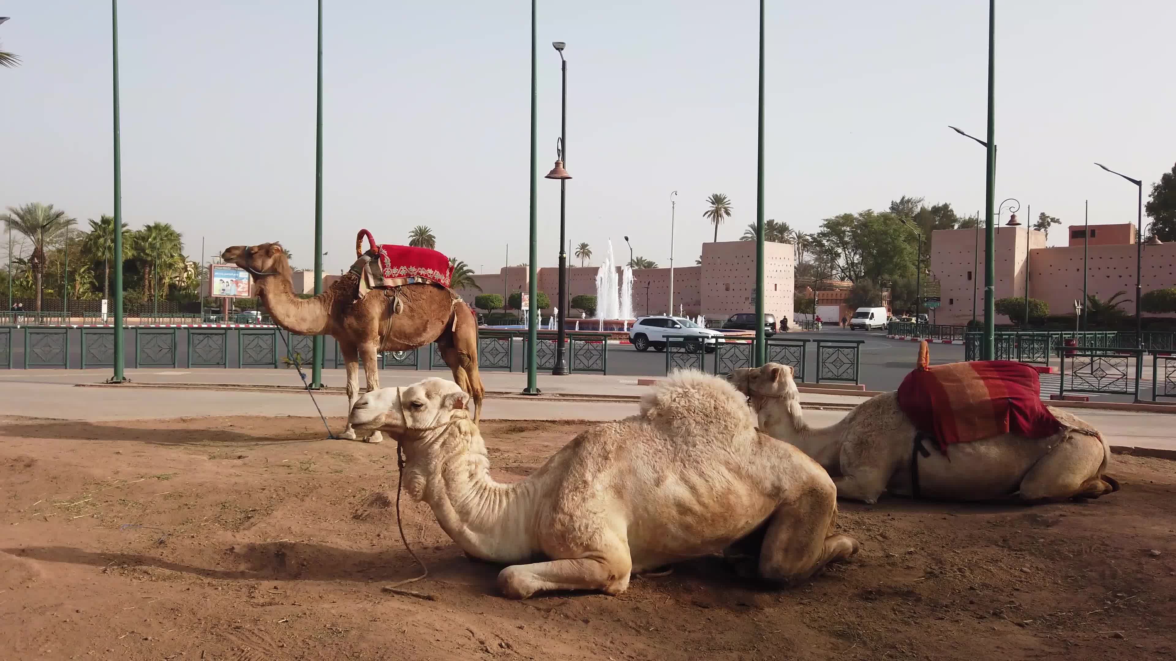Daily life in Marrakech (Marocco) before the earthquake