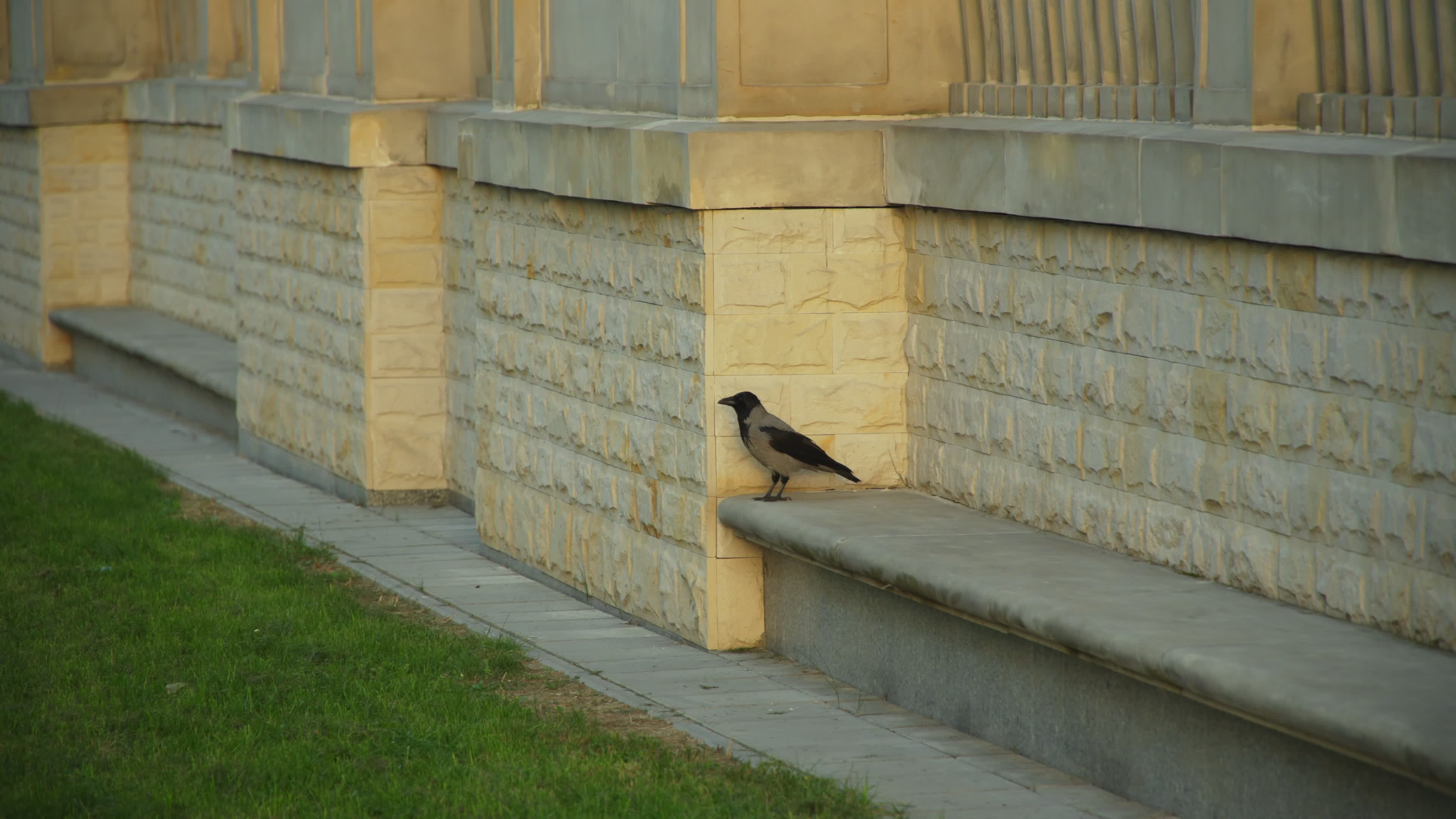 Daily life in Warsaw