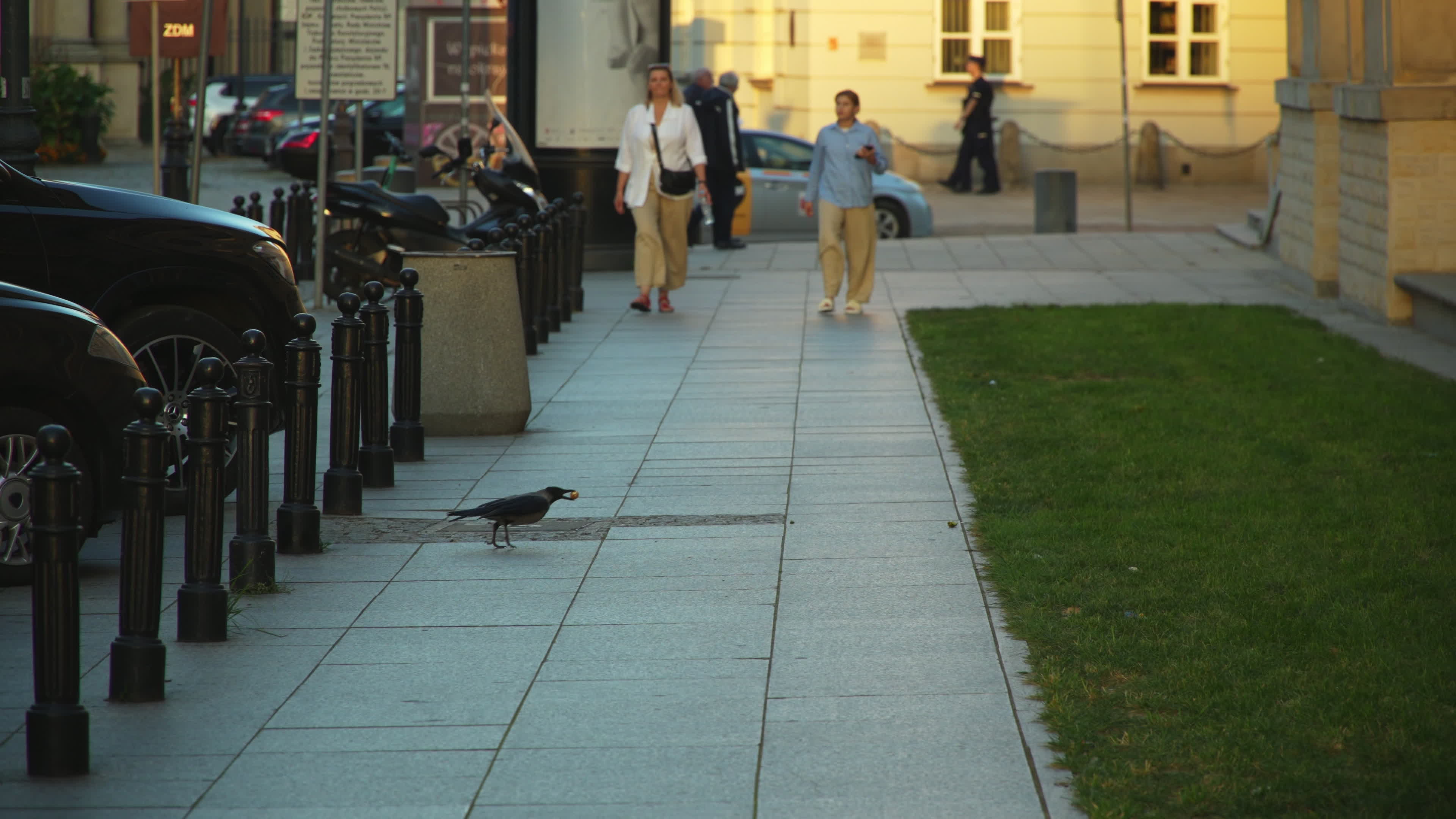 Daily life in Warsaw