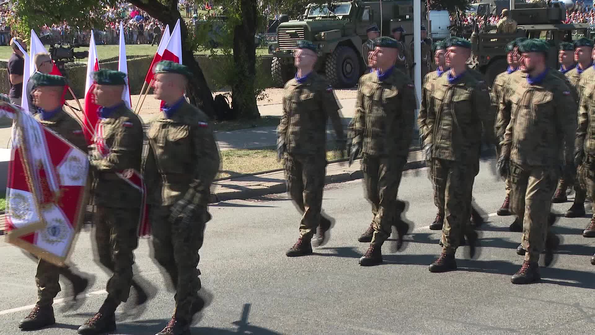 Poland celebrates Armed Forces Day with military parade