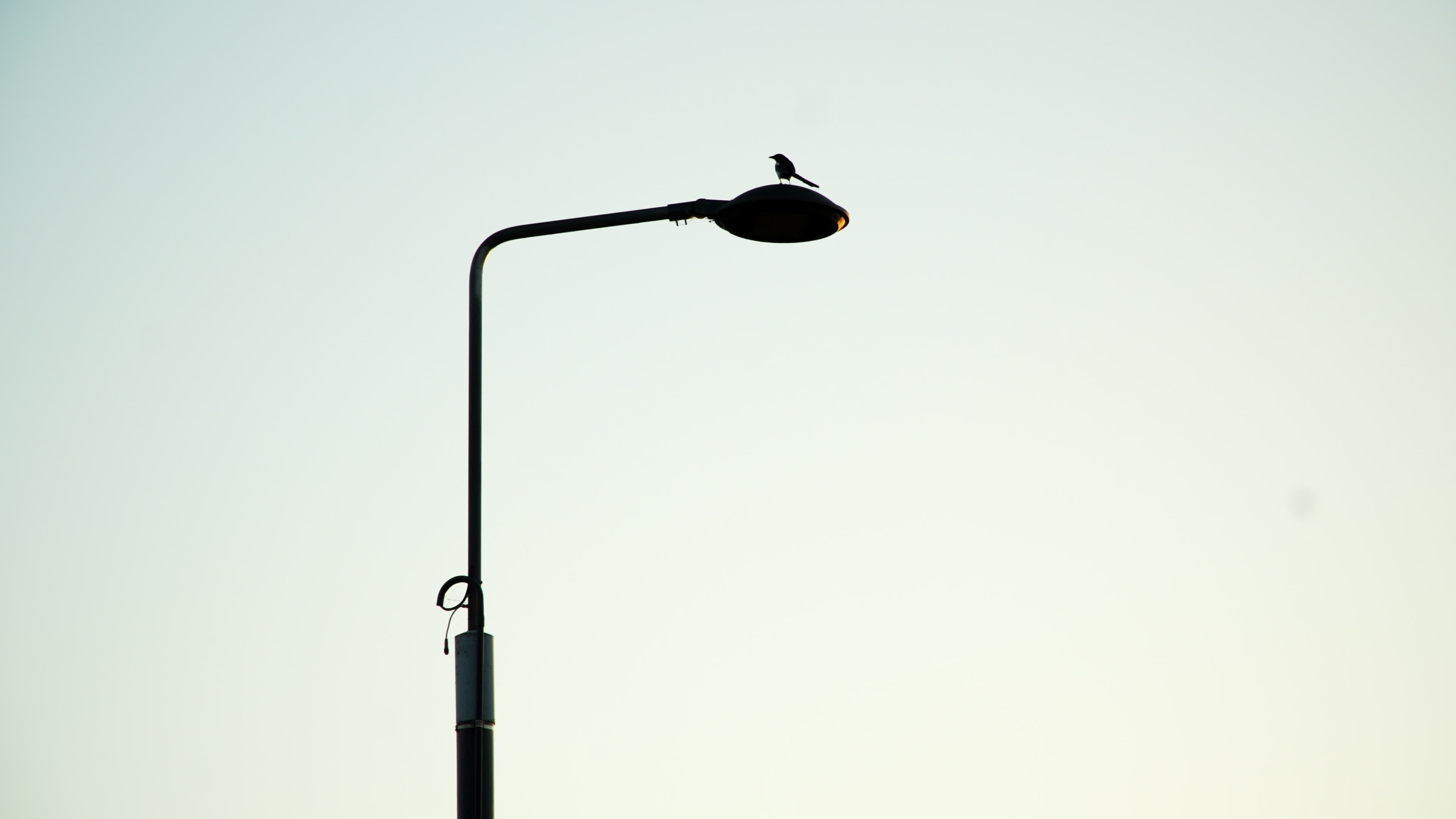 Daily life in Warsaw