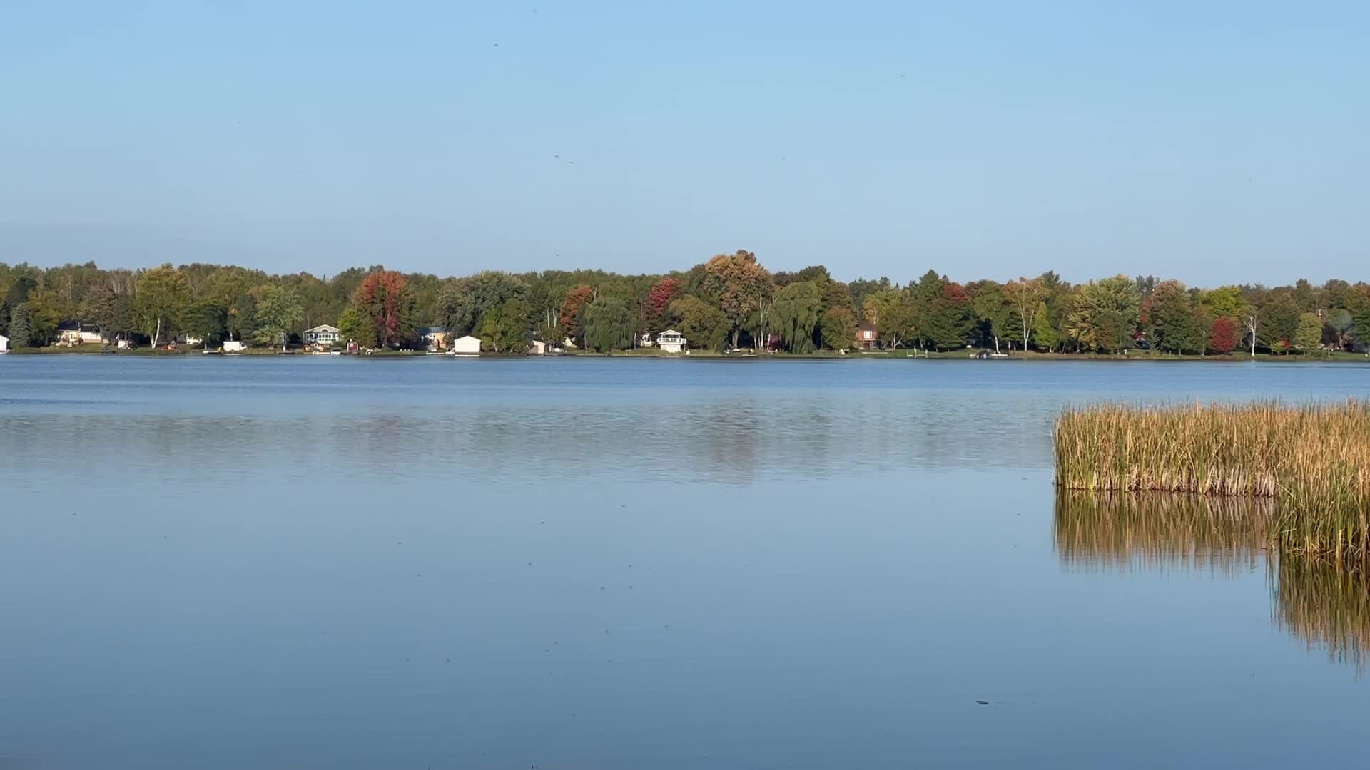 Kawartha Lakes