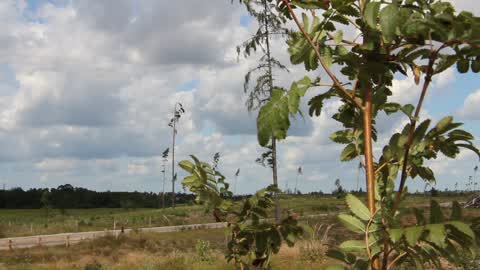 Two Years After Tornado In Rytel