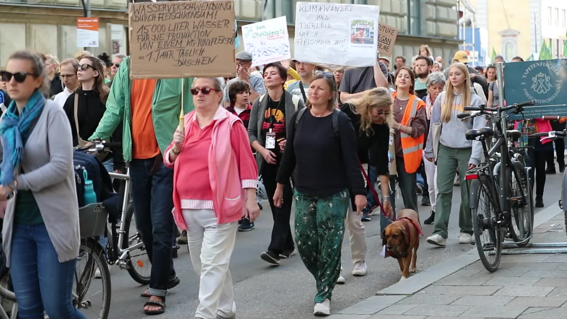 Germany: Hundreds protest with Fridays for Future in Munich