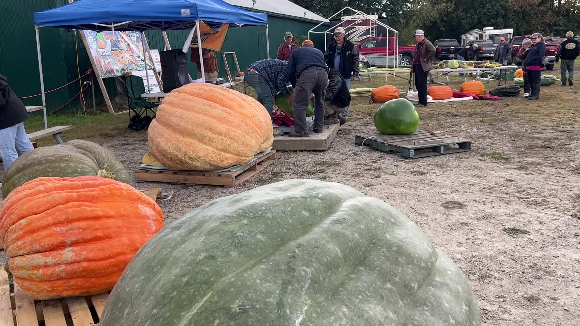 Great Pumpkin Commonwealth Giant Pumpkin Competition