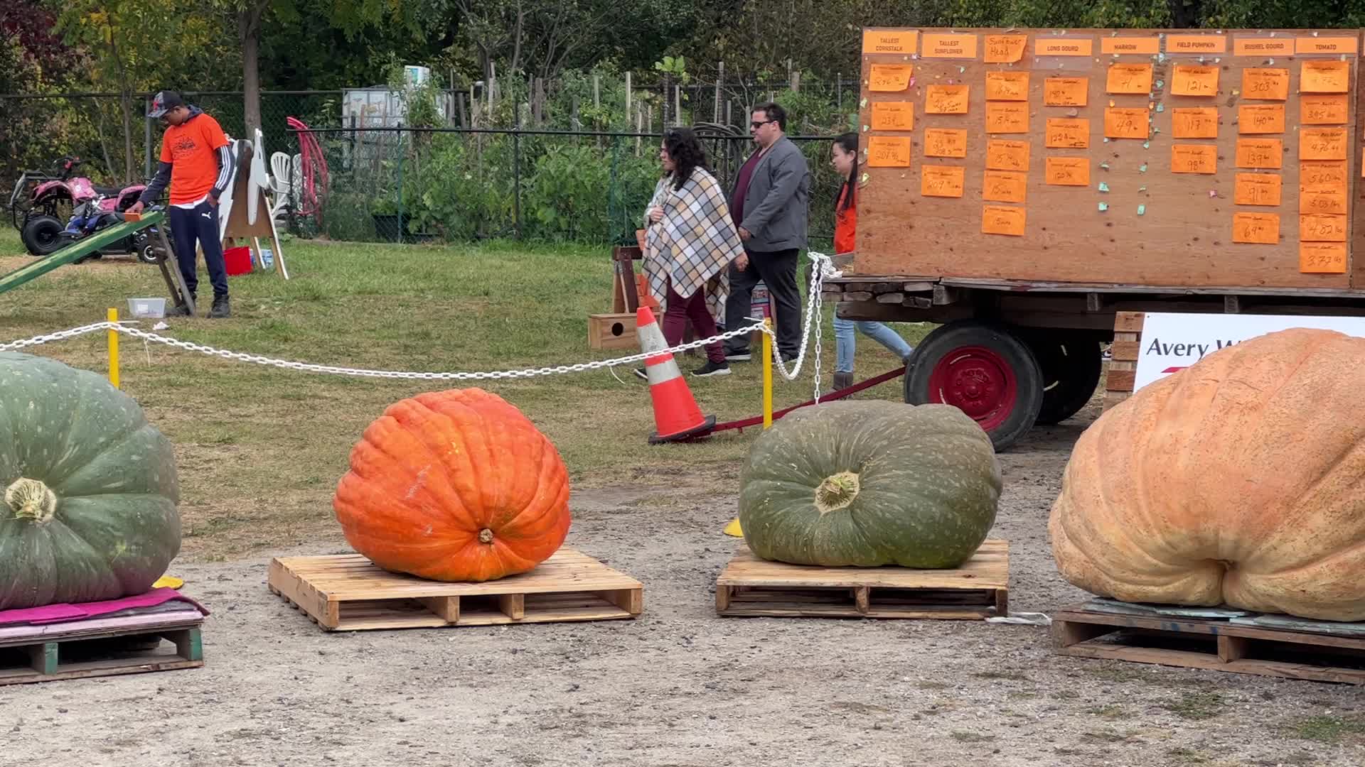 Great Pumpkin Commonwealth Giant Pumpkin Competition