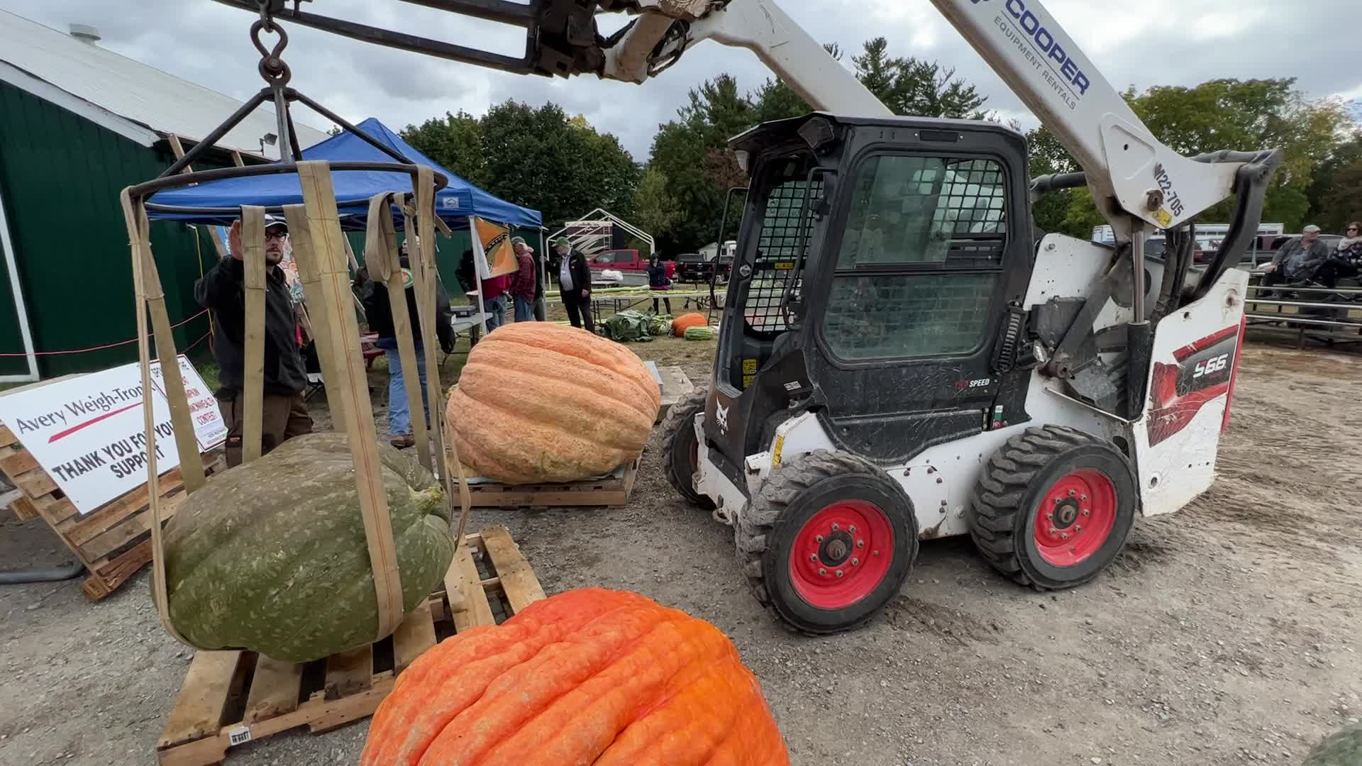Great Pumpkin Commonwealth Giant Pumpkin Competition