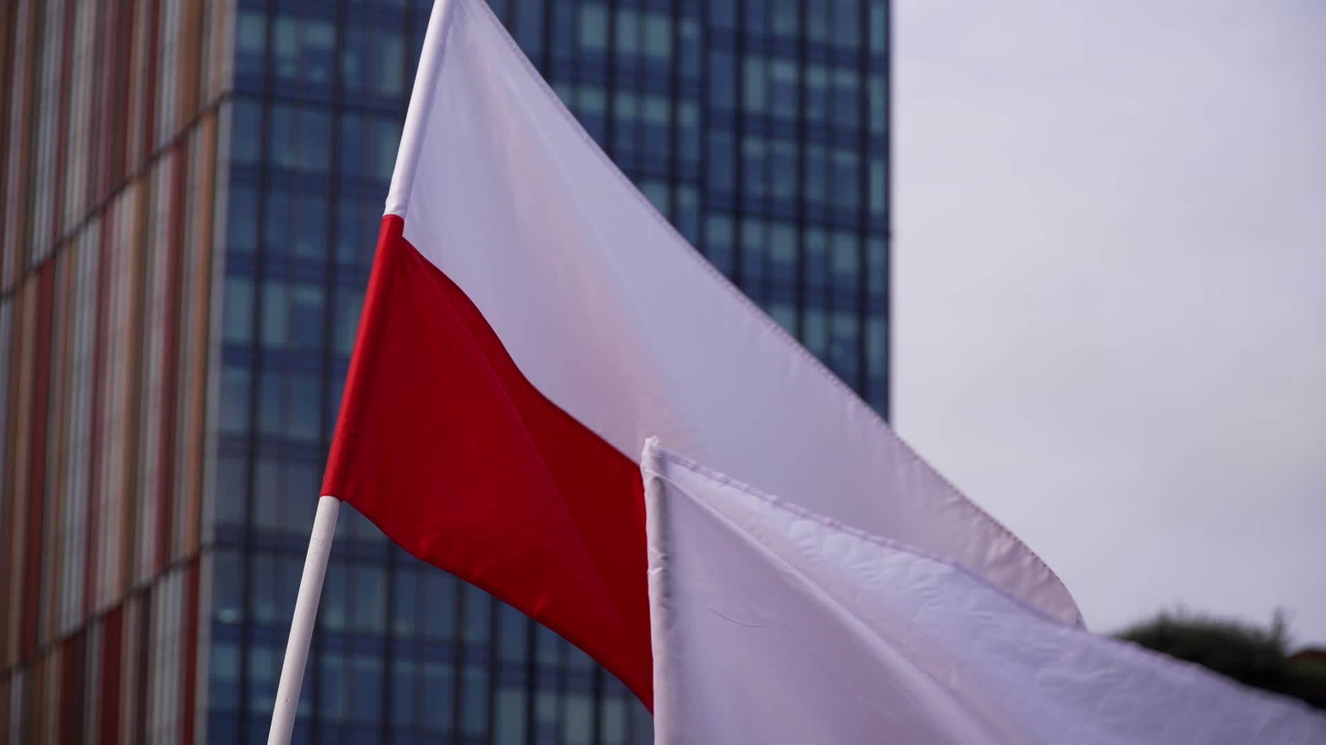Million take part in opposition rally ahead of elections in Poland