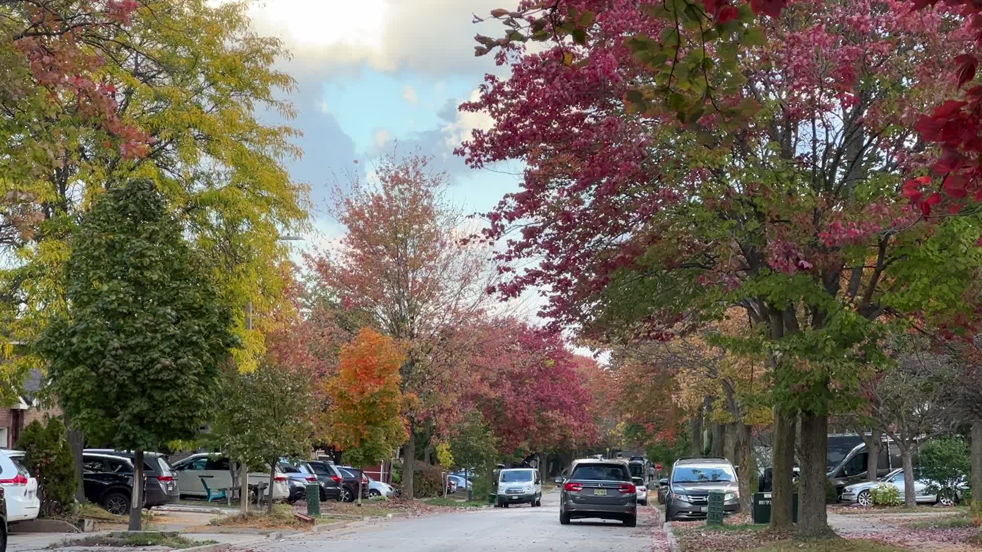 Autumn season in Toronto