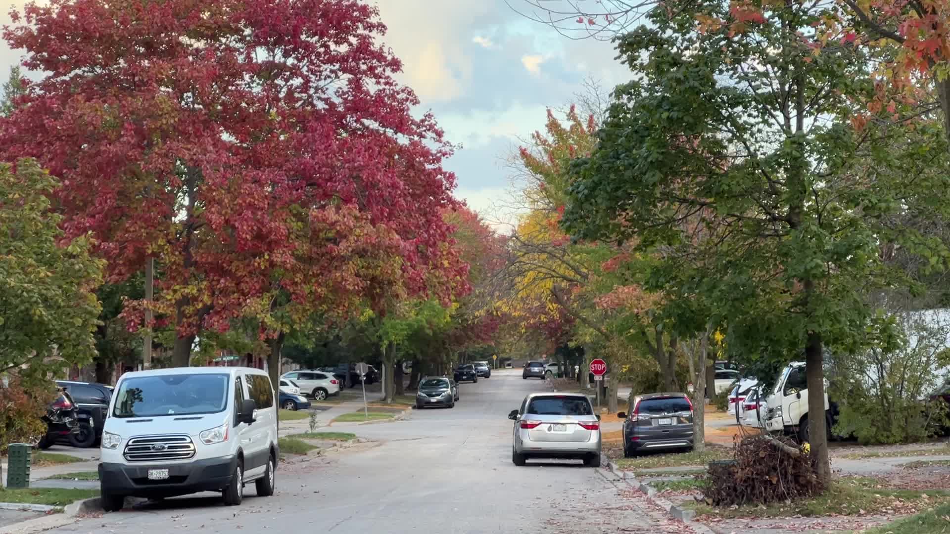Autumn season in Toronto