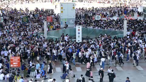 Comic Market 96 in Tokyo