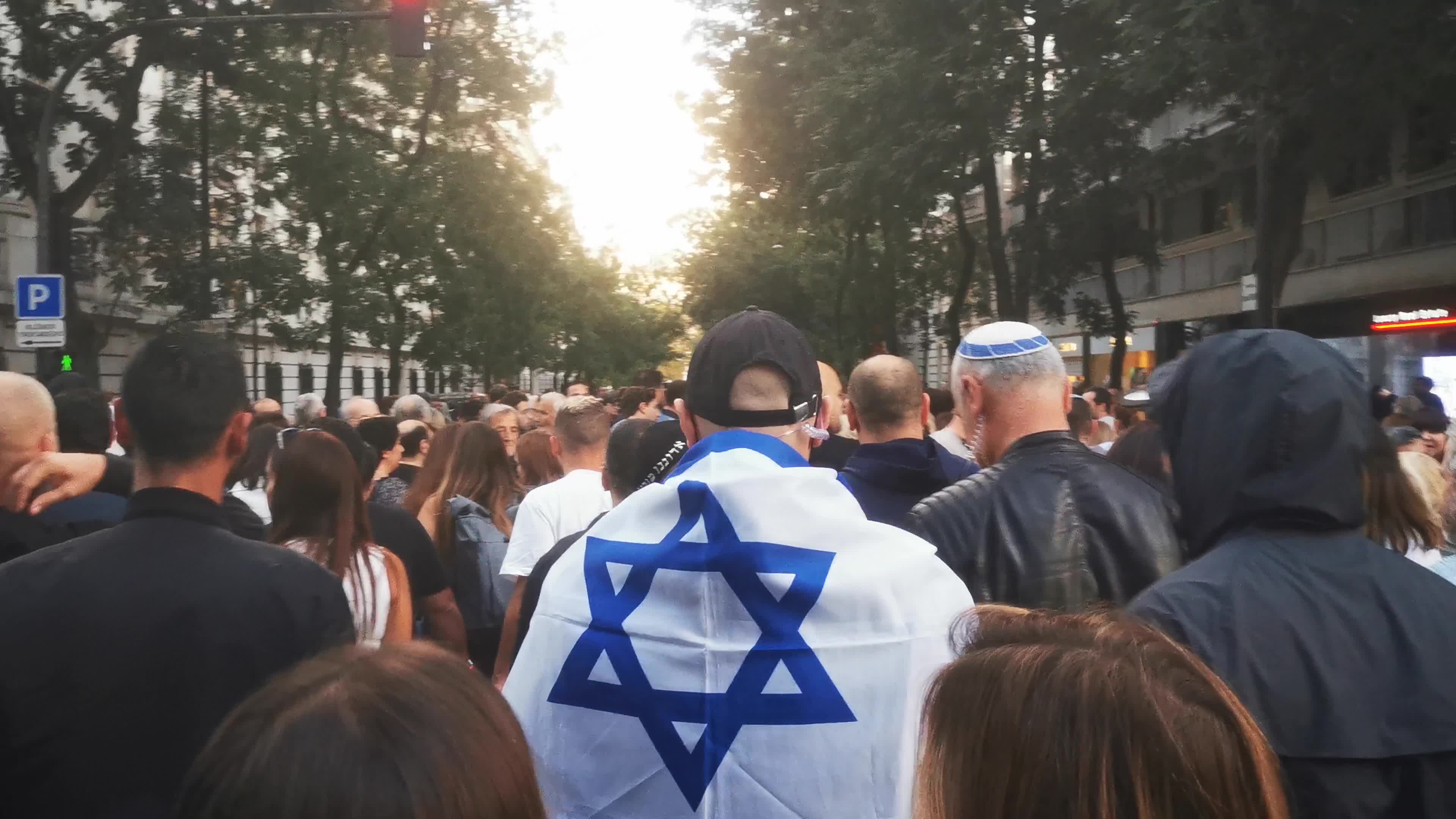 Pro-Israel rally in Paris