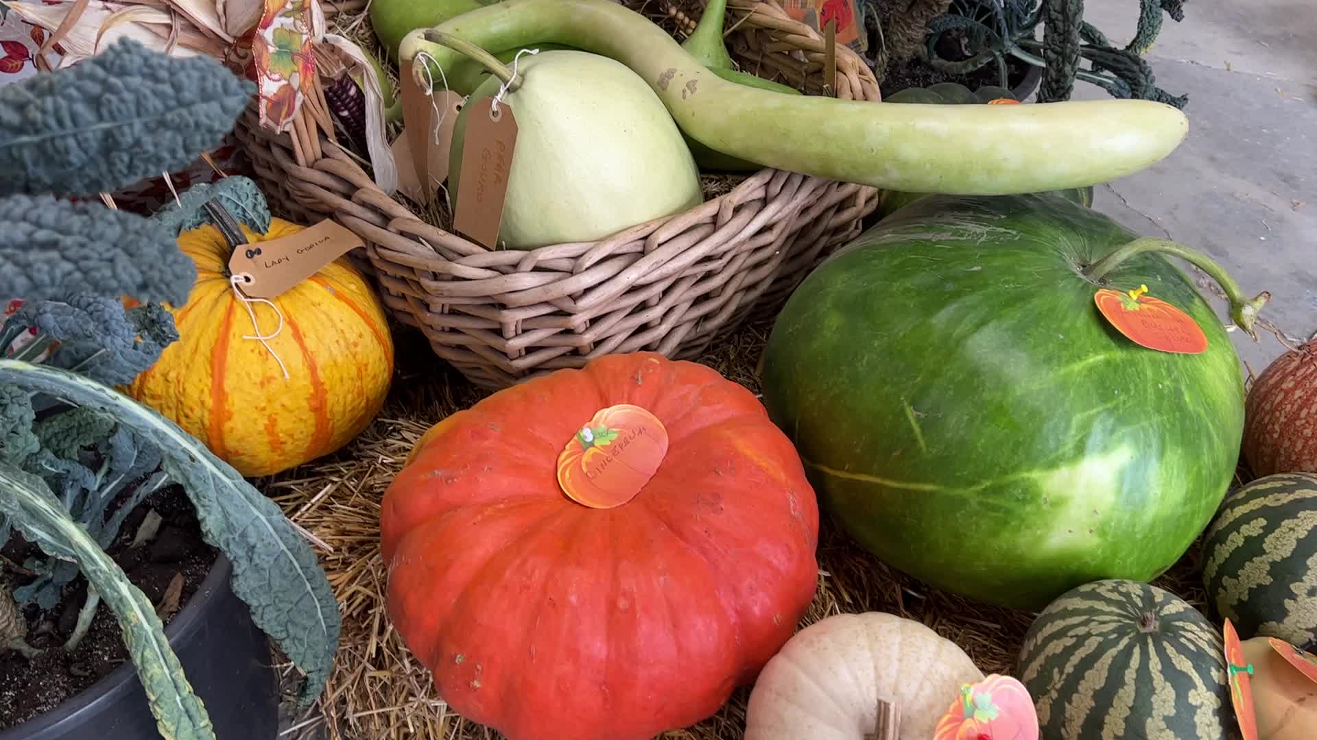 176th Woodbridge Fall Fair