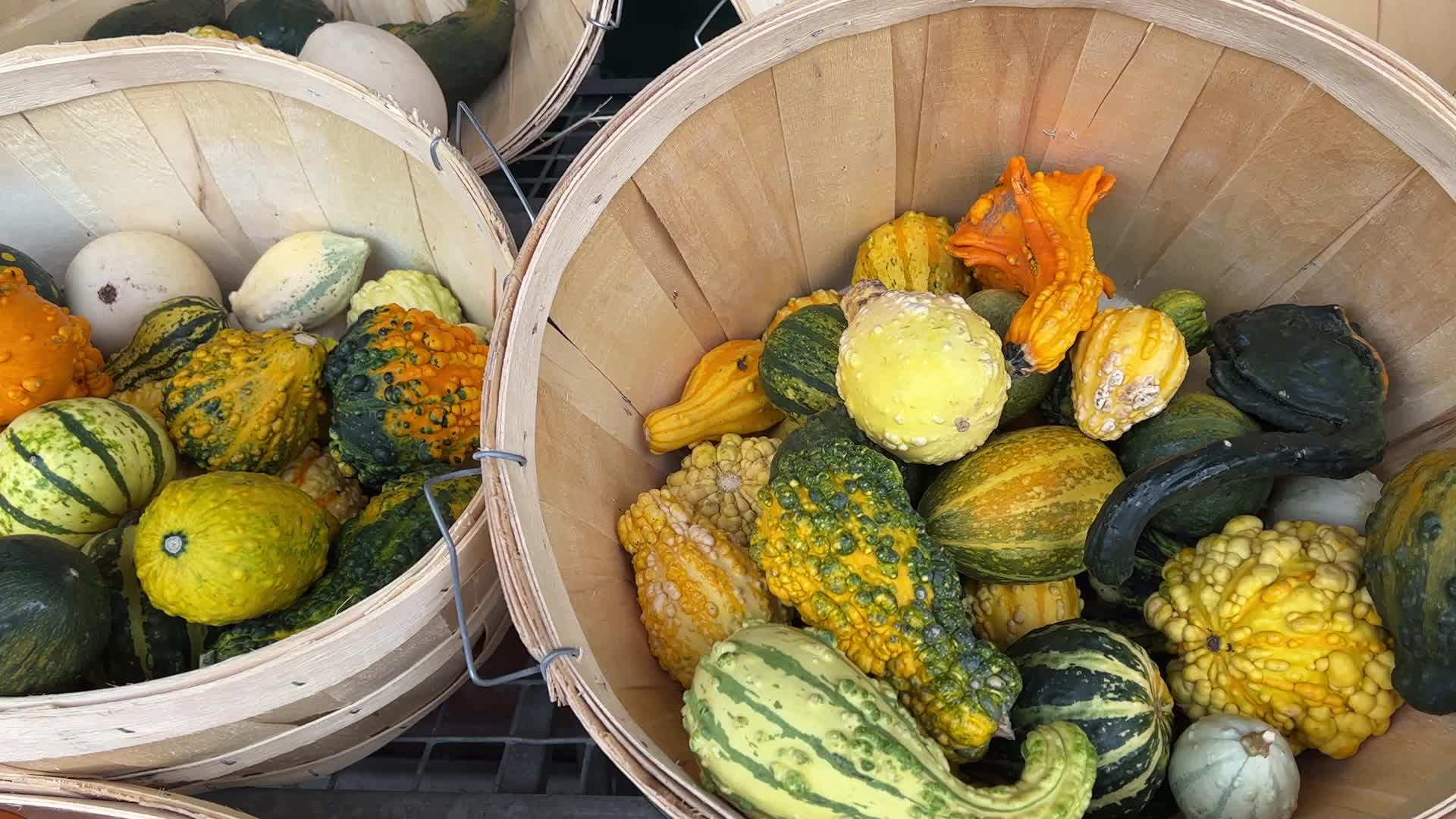 176th Woodbridge Fall Fair