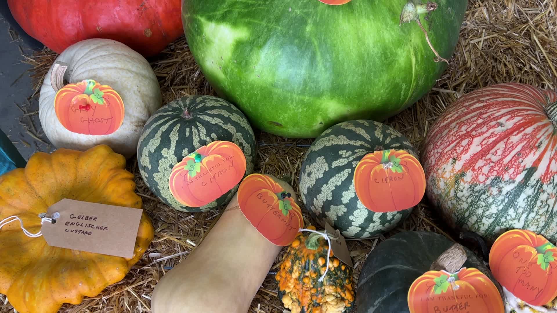 176th Woodbridge Fall Fair