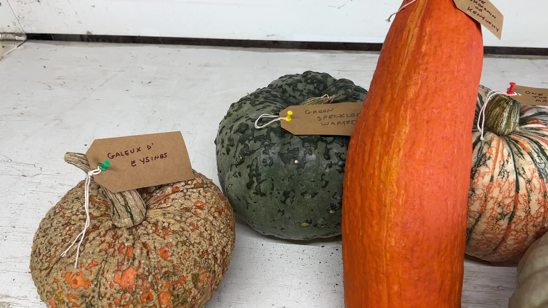 176th Woodbridge Fall Fair
