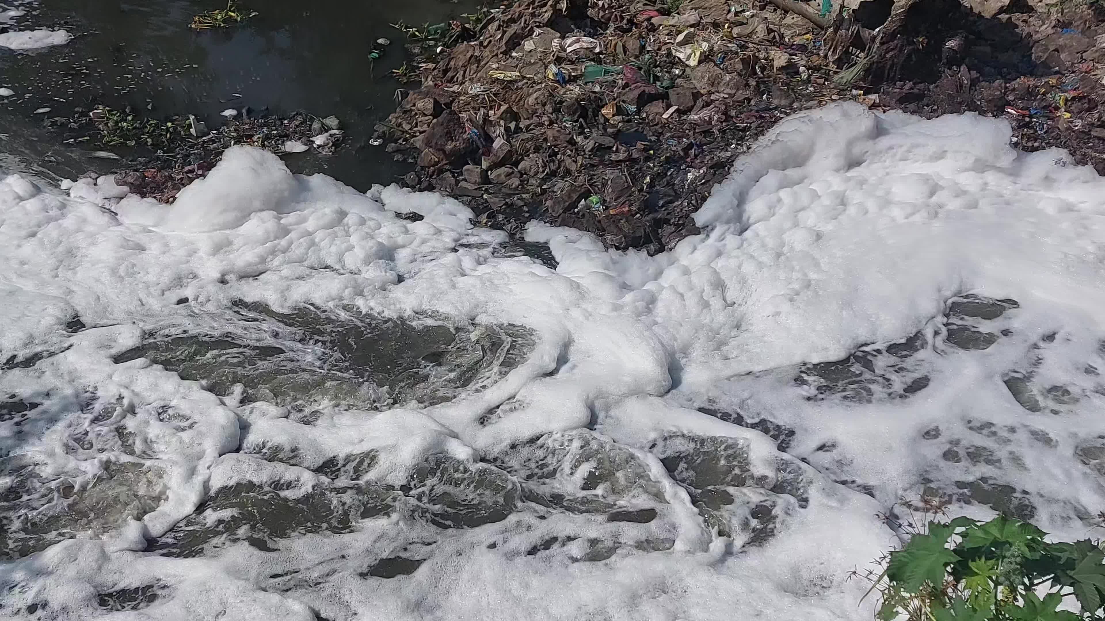 Waters coated with polluted foam in India.