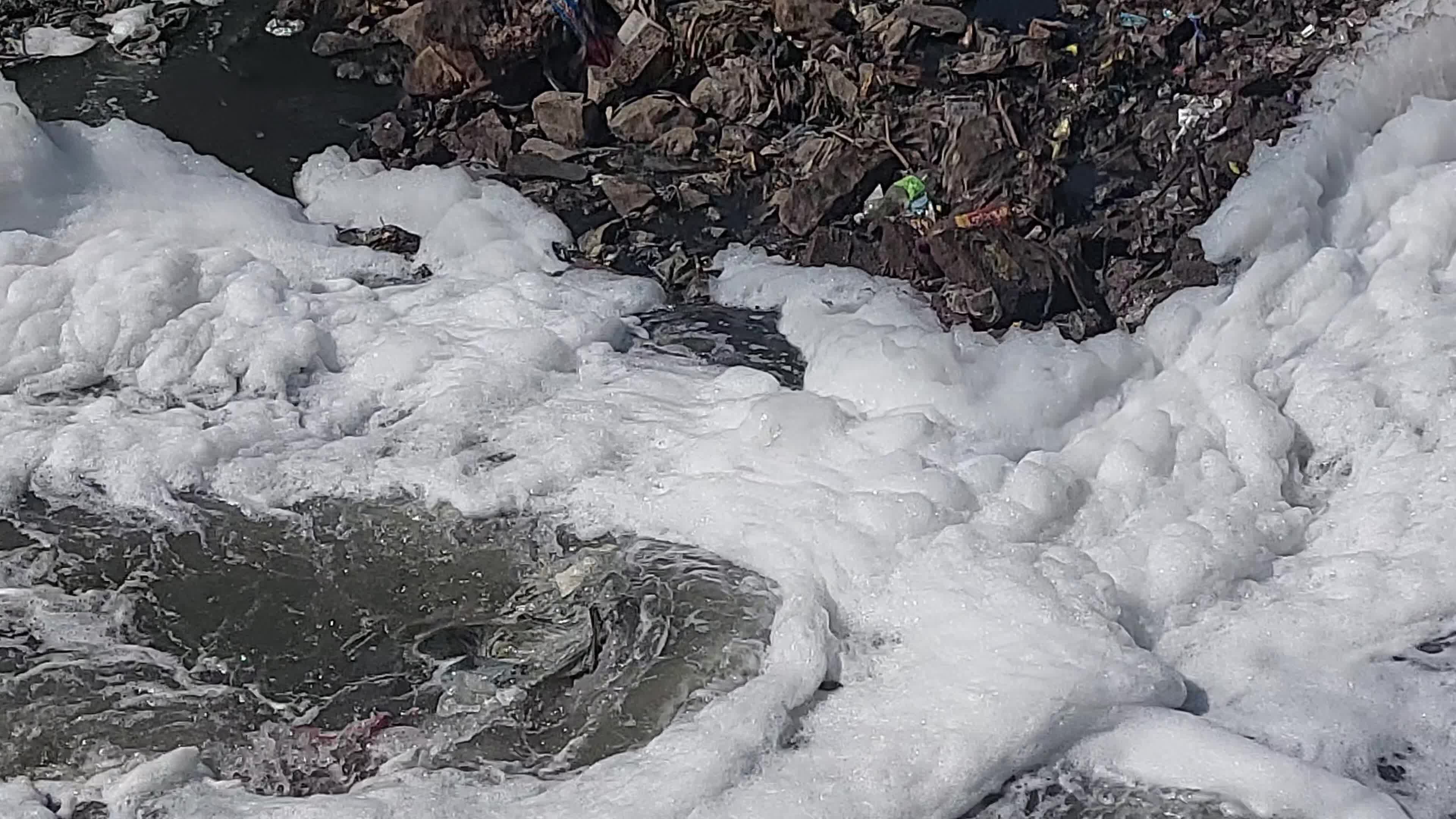 Waters coated with polluted foam in India.