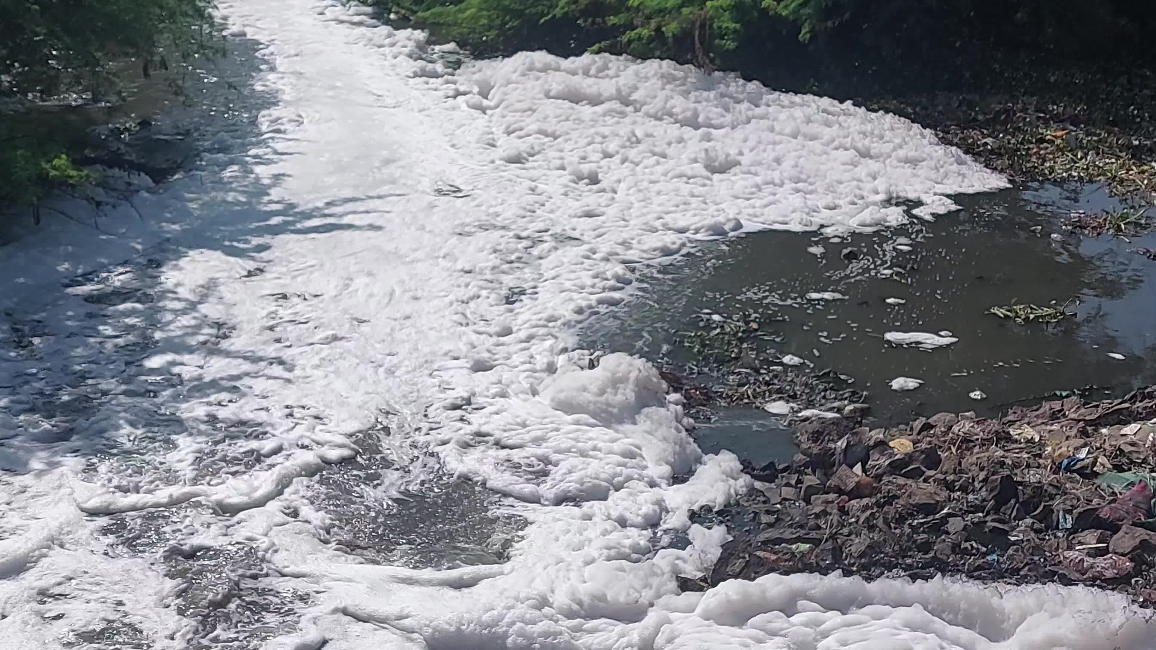 Waters coated with polluted foam in India.