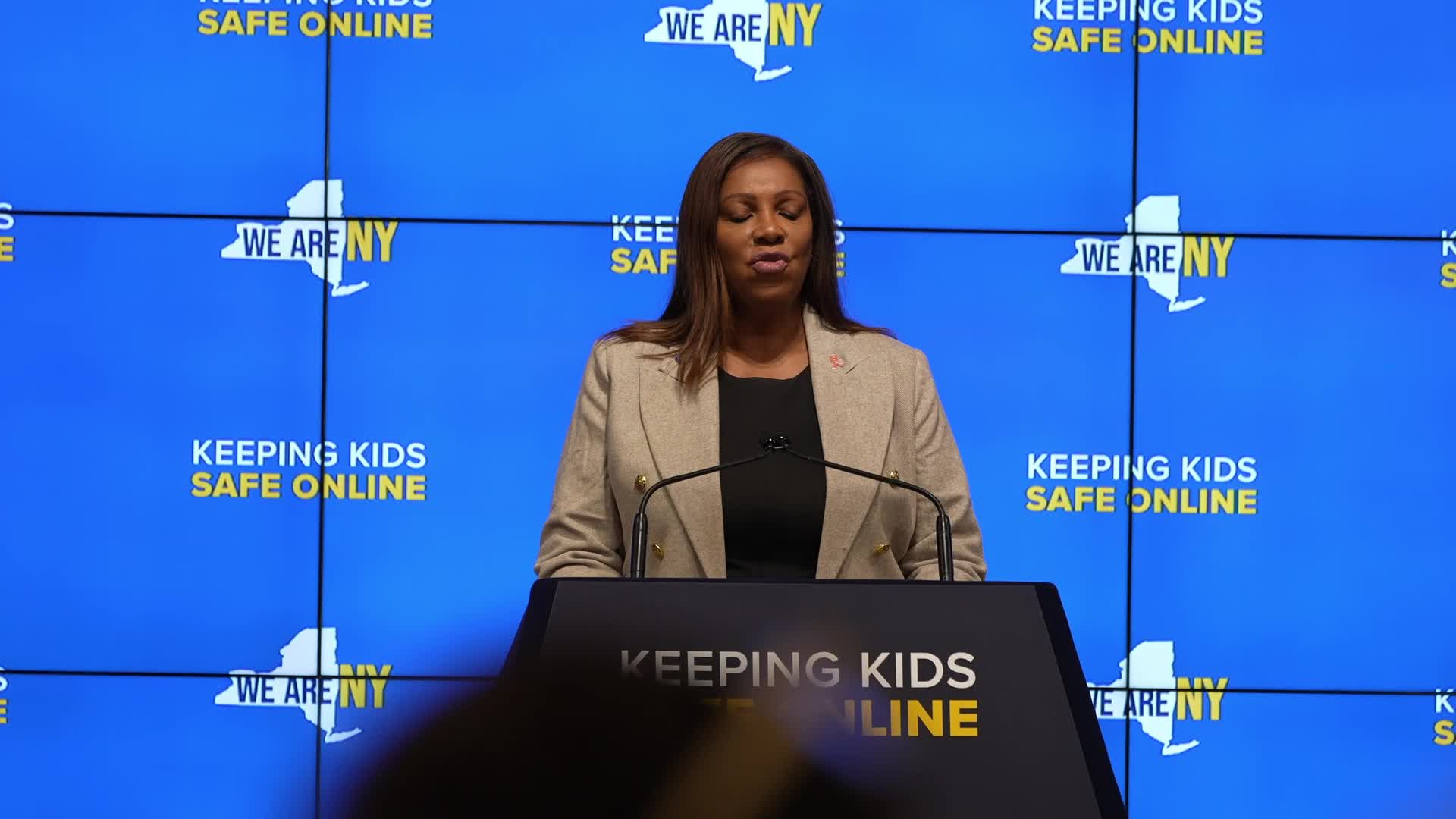 Governor Hochul, Attorney General James, Senator Gounardes, and Assemblymember Rozic Take Action to protect Children Online