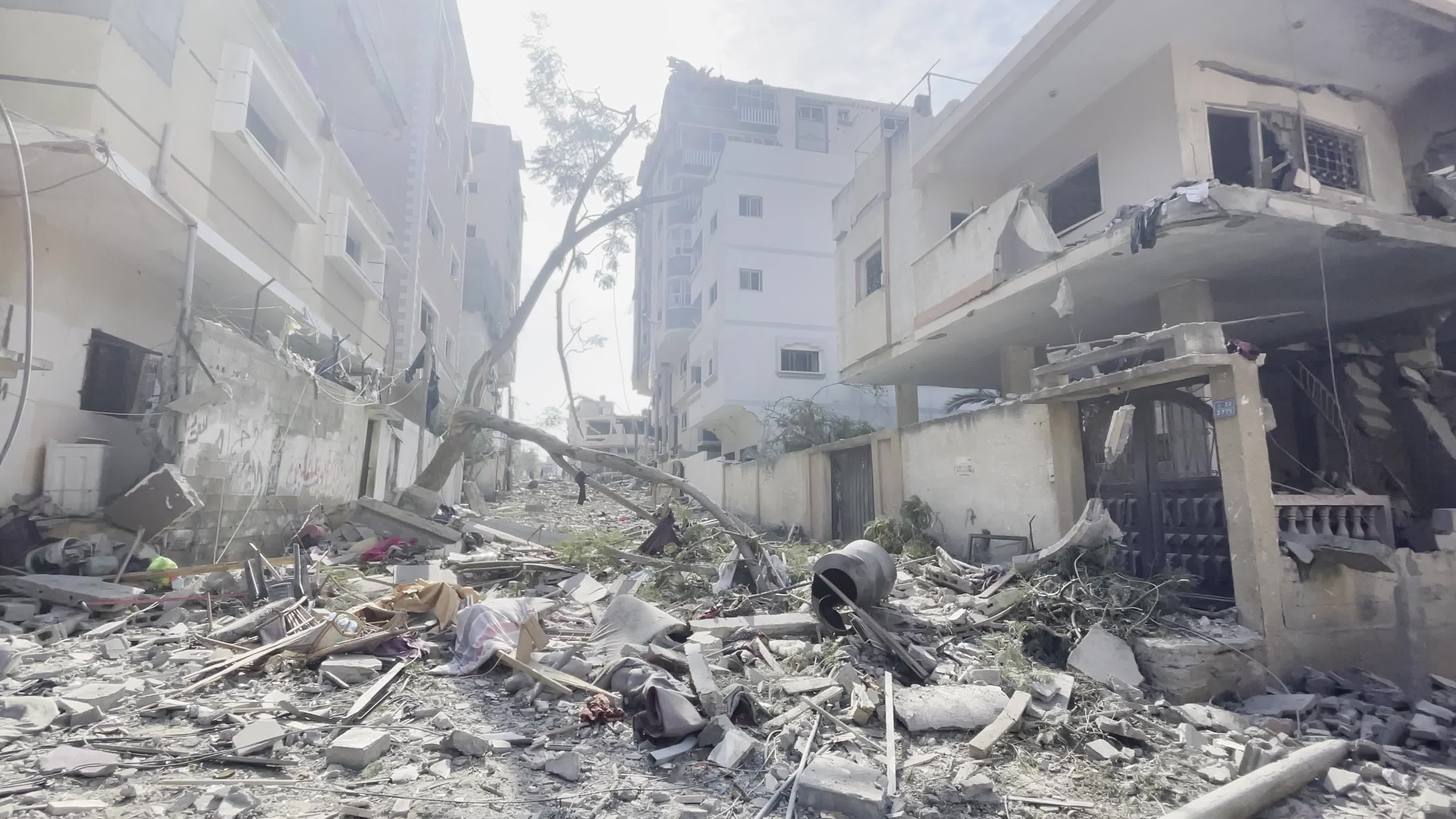 Palestine Israel Conflict 2023