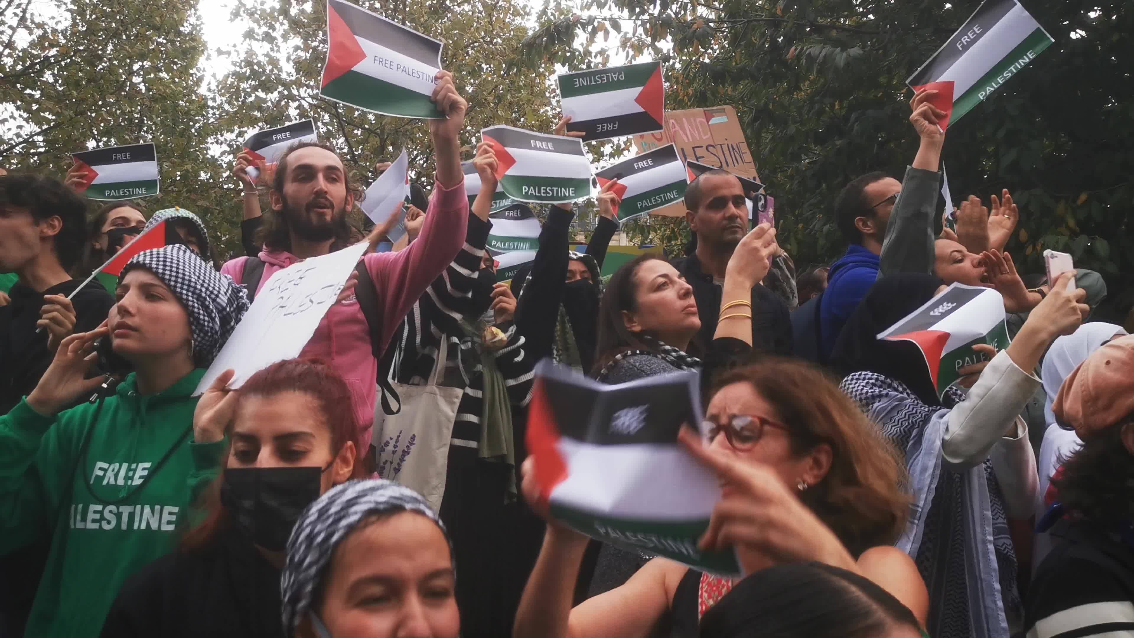 Prohibited Pro-Palestinian Protests In Paris