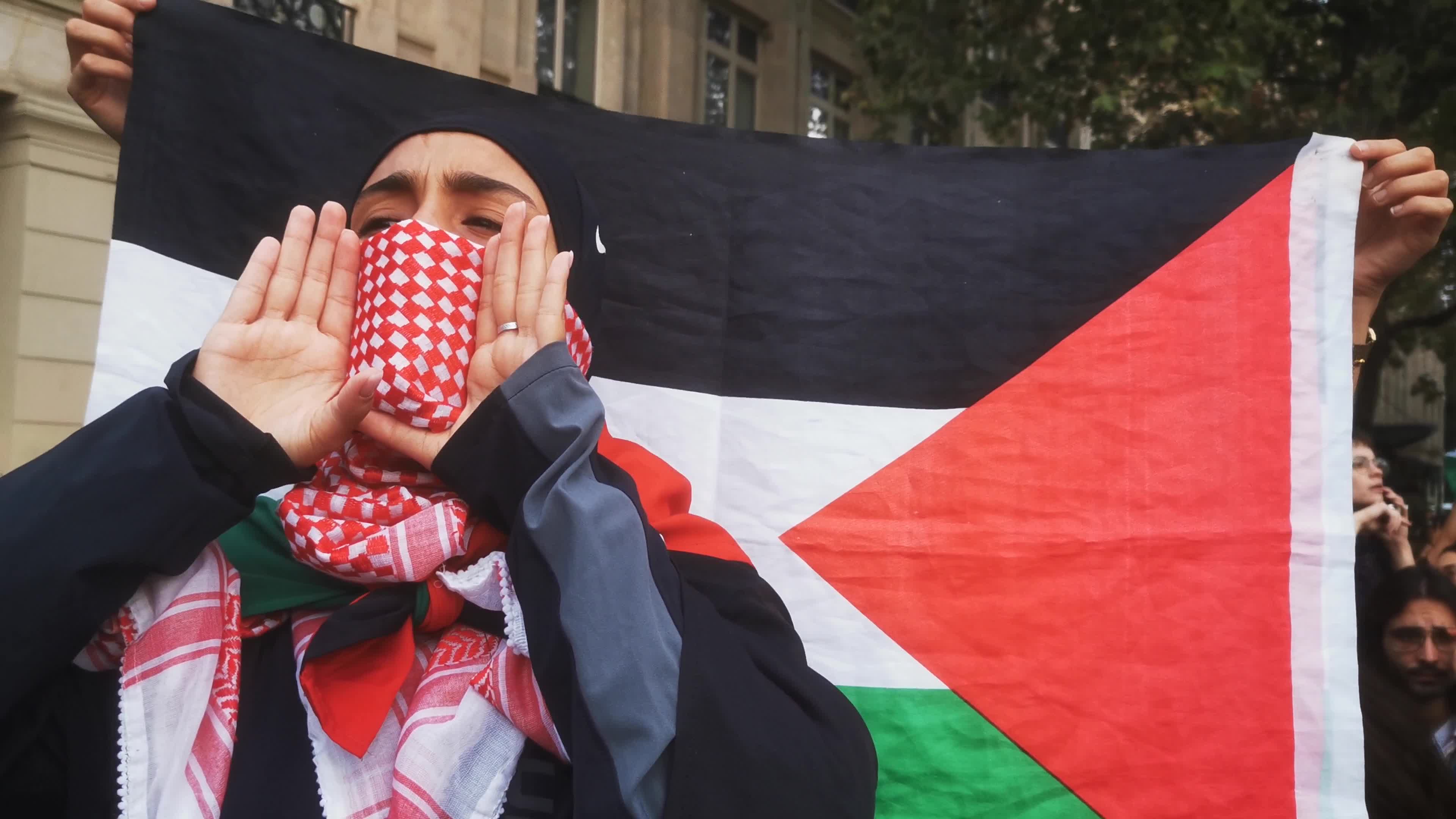 Prohibited Pro-Palestinian Protests In Paris